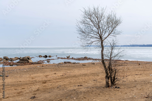 Obraz na plátne Khanka lake shore with frozen coast in Russia China border during the cold day and sandy beach