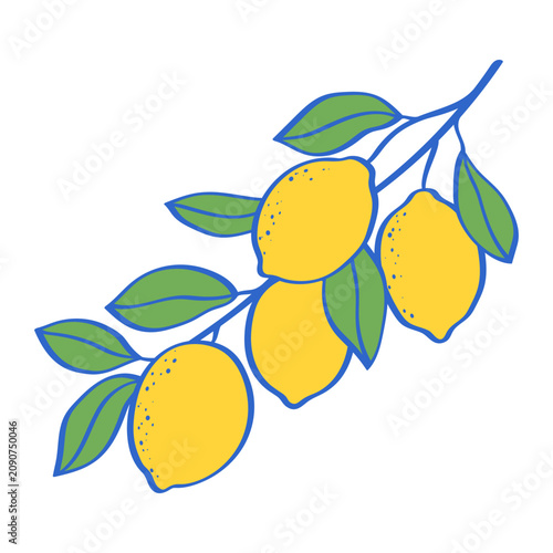Decorative hand drawn Amalfi lemon branch with four citrus fruits and green leaves. Mediterranean inspired botanical vector illustration in an Italian coastal style.