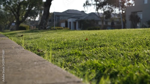 Green grass nature strip or roadside verge in a quiet residential estate in a suburb of Melbourne, Australia.In the blurred background, family houses, and a blurred pedestrian walk along the road