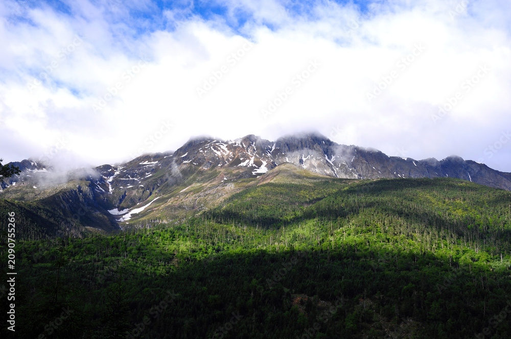 Fototapeta premium Mountain peak covered with snow and surrounded by green forests