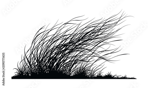 Windblown grass silhouette dramatic black and white natural landscape element