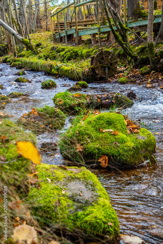 Flowing stream with moss-covered rocks and wooden bridge in a forested area during autumn season, showcasing vibrant foliage and natural beauty