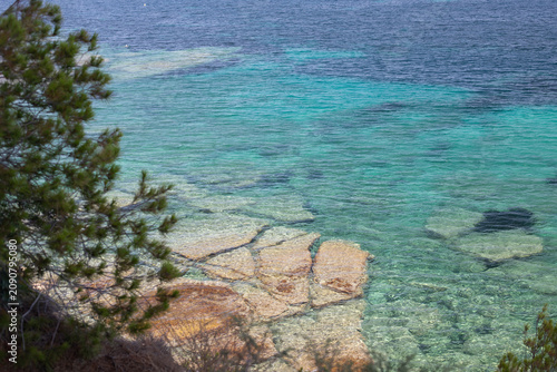 Clear turquoise water with visible rocks and shoreline vegetation along a coastal area under a bright sky
