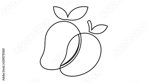 Two mango fruits vector illustration in delicate black line art with leaves and stems, minimalist tropical food icon on white background for produce labels, market packaging, menus and healthy designs