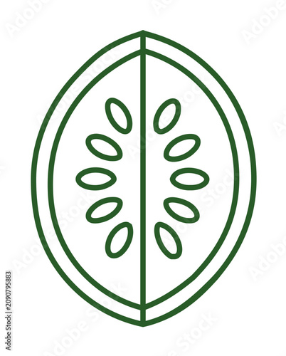 Minimalist green melon half vector icon illustration with clean line seeds, symmetrical rind outline, fresh summer fruit design for menus, packaging, grocery labels, healthy food graphics