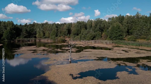 Aerial Drone Flight Over Historic Wooden Village by Lake Surrounded by Forest