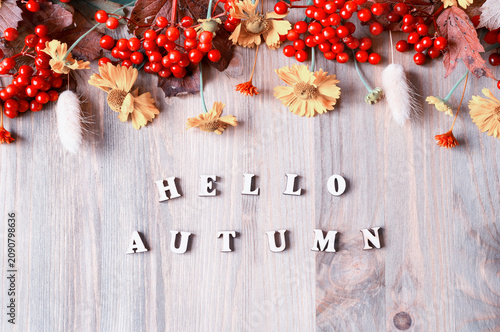 Autumn background. Seasonal autumnal berries and flowers on the wooden background with inscription Hello Autumn