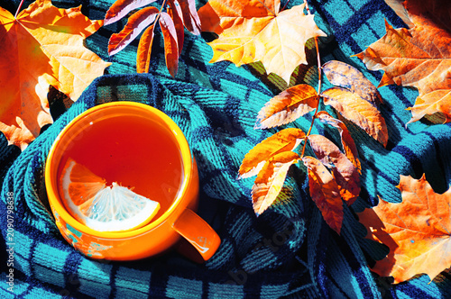 Autumn background, cup of tea, warm green scarf and dry autumn leaves under soft sunlight. Concept of spending autumn time at cozy home