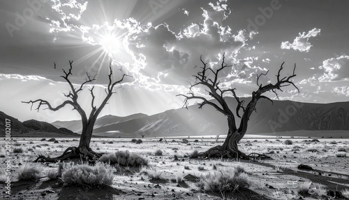 Desolate landscape with two leafless trees under dramatic sky