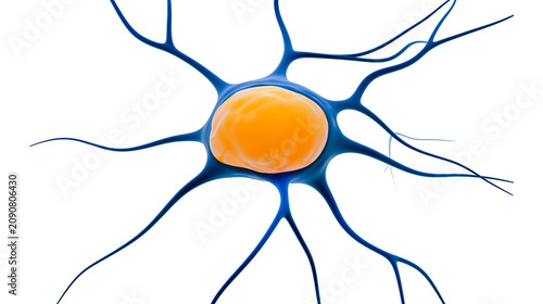 Fotografie Neuron cell body with dendrites and axon