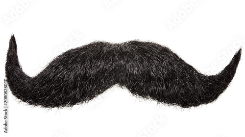Obraz na płótnie Fluffy black handlebar mustache, isolated on transparent background