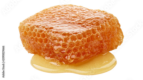 Konstfotografi Golden honeycomb chunk with dripping liquid honey, isolated on transparent backg