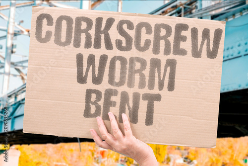 Bild auf Leinwand "Corkscrew Worm Bent" Spiral mangled, cork won't budge