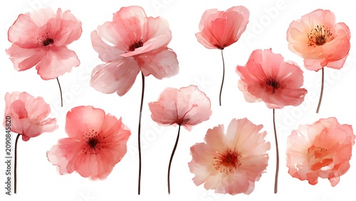 Pink Paper Poppy Flowers Array