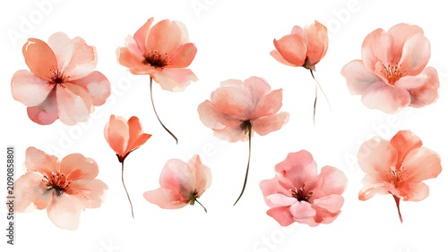 Soft Watercolor Pink Flower Bouquet Floating