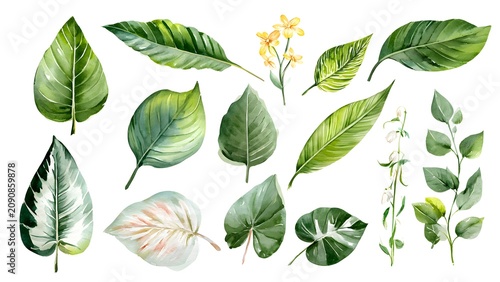 Lush Green Leaves and Yellow Flower Watercolor Botanical Set