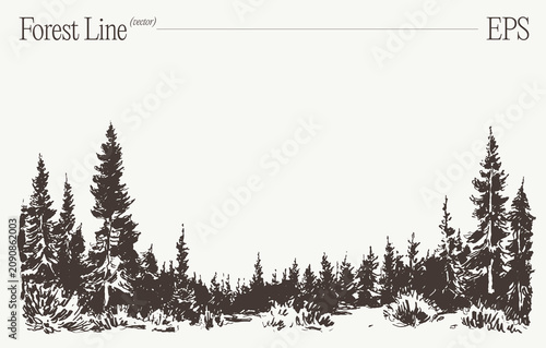 Dense forest tree line, hand drawn pine trees sketch illustration