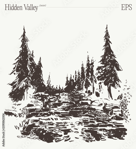 Hidden forest valley with rocky stream, hand drawn pine trees sketch illustration