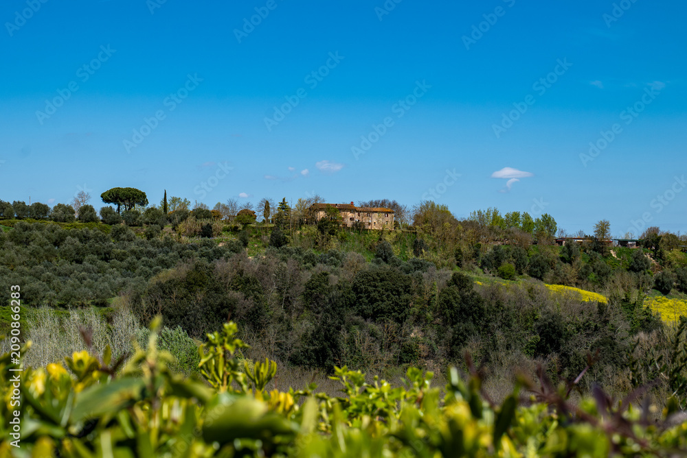 Obraz premium Wide landscape view of rolling Tuscan hills with vineyards and countryside vegetation under a clear blue sky. A peaceful rural panorama near Montaione, Italy.