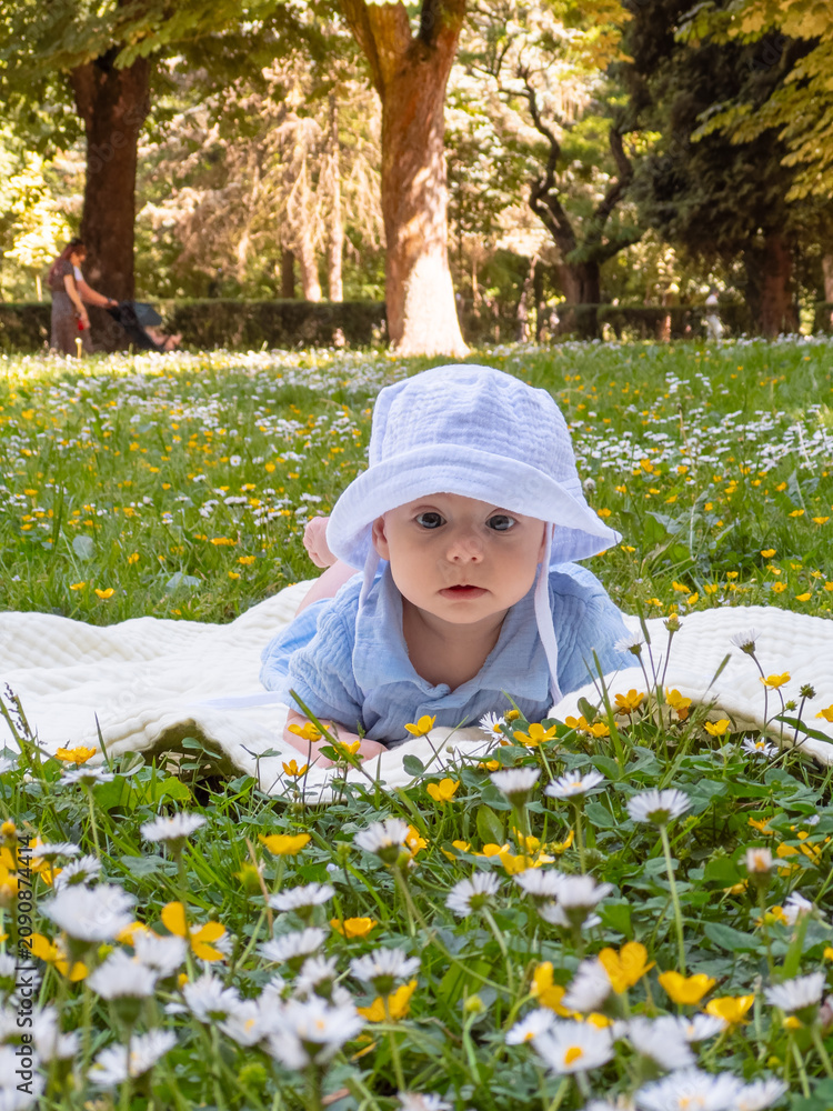 Obraz premium Cute baby on blanket in flower meadow park portrait
