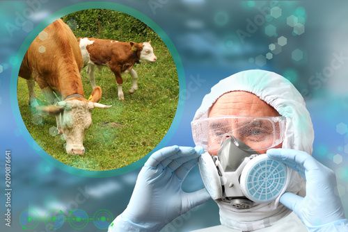 Konstfotografi scientist, researcher studies livestock health, safety protocols in modern agric