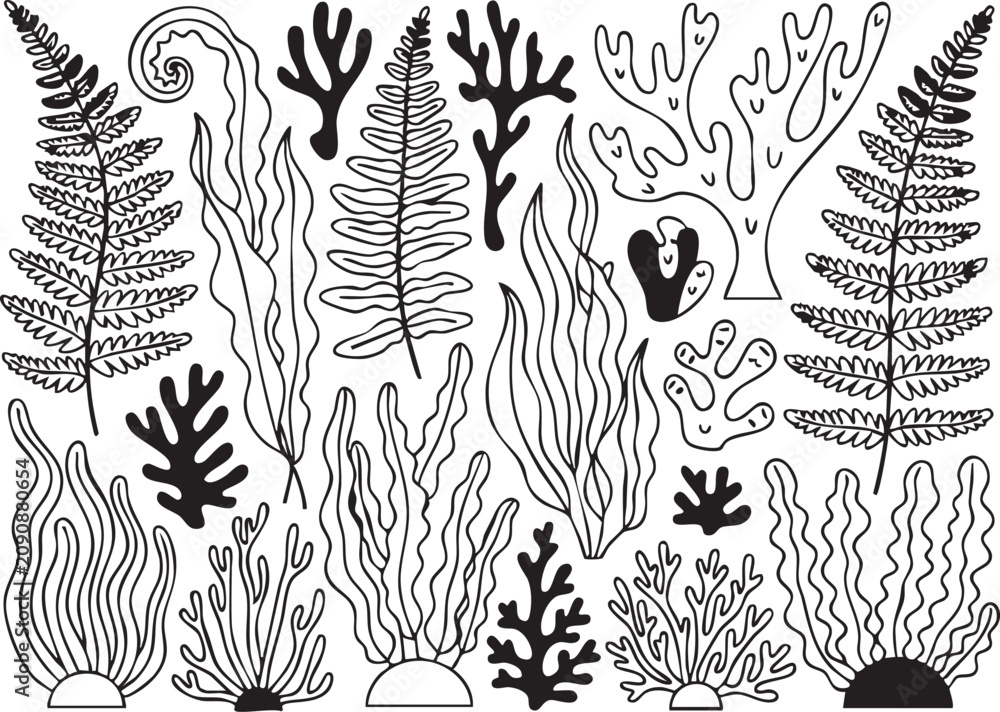 Obraz premium Black and white of various seaweed and coral ocean underwater marine life