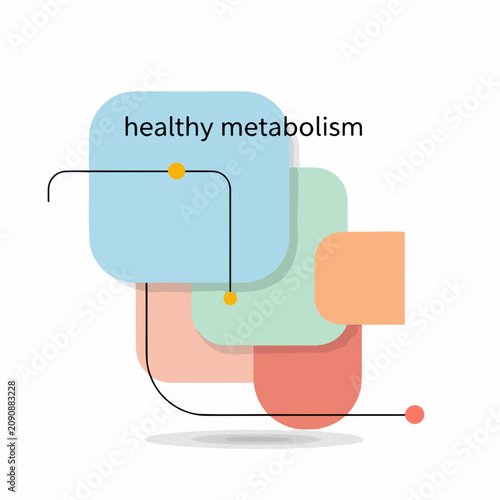 Healthy metabolism concept. Flat design vector illustration of metabolic process. Abstract geometric health infographic
