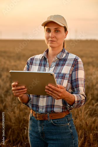 Female farmer using tablet in wheat field at sunset
