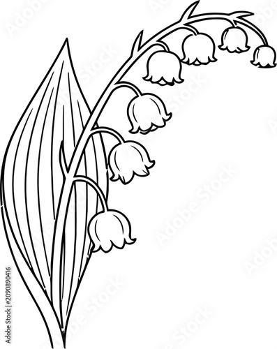 Lily of the Valley Flower - Outline Drawing