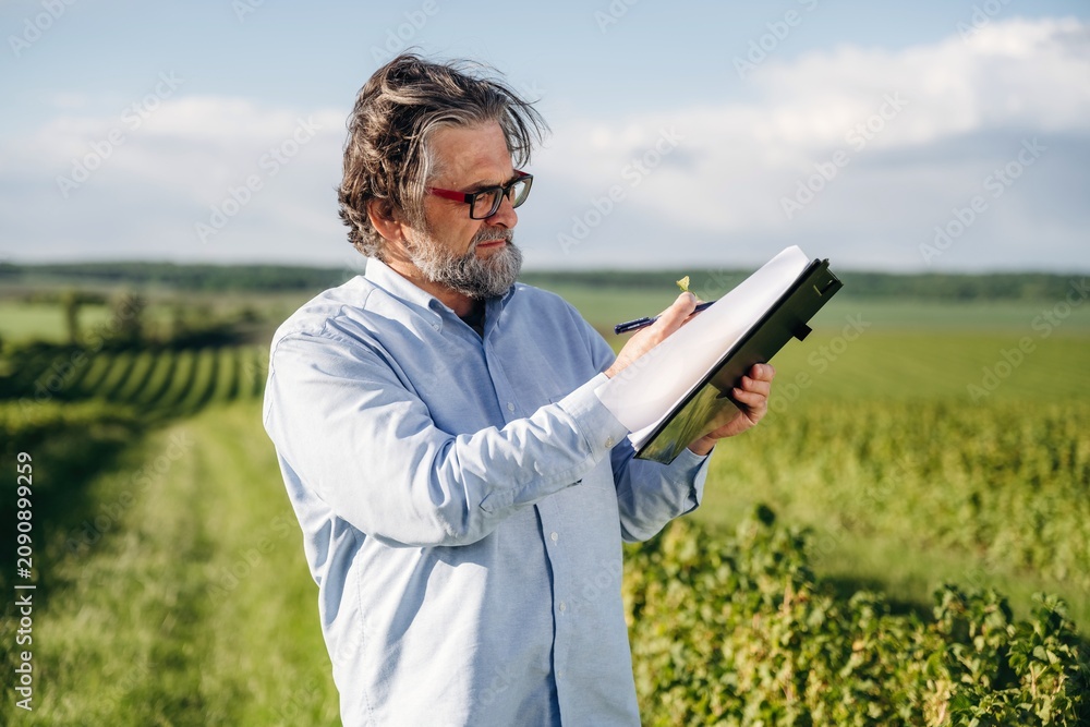 Fototapeta premium Middle-aged man with glasses writing in a notebook while standing in a vineyard, lush green grapevines and blue sky visible in the background