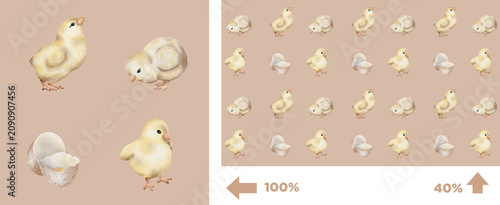 Chicks and eggs on a light background showing various stages of development and grouping patterns