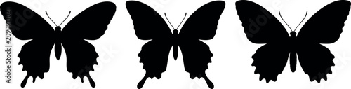 Εκτύπωση καμβά Swallowtail butterfly silhouettes collection with simple solid black wing shapes