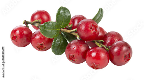 фотографія Fresh red lingonberries with green leaves, isolated on transparent background