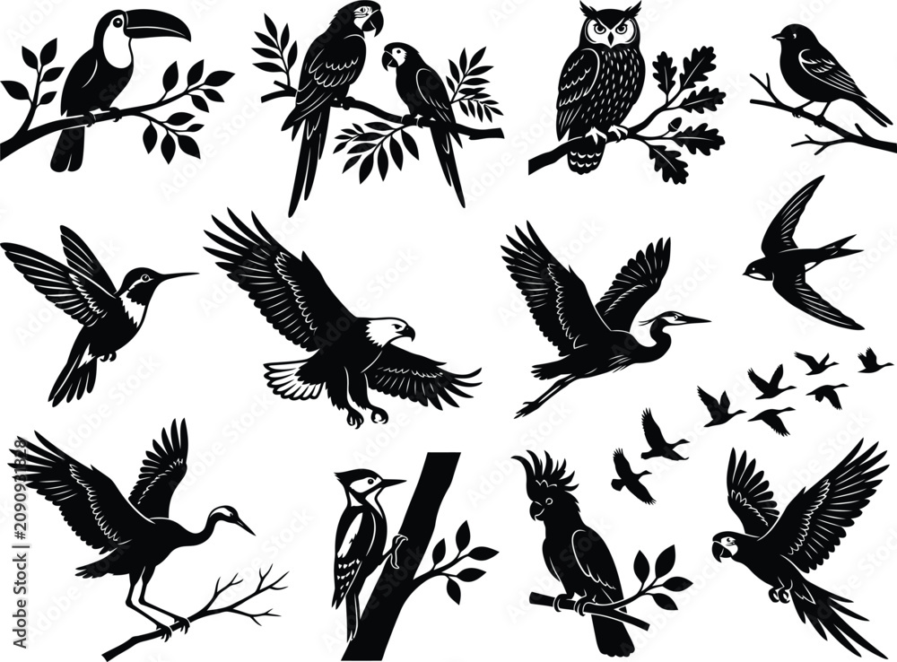 Fototapeta premium Collection of black silhouette bird on white background, toucan