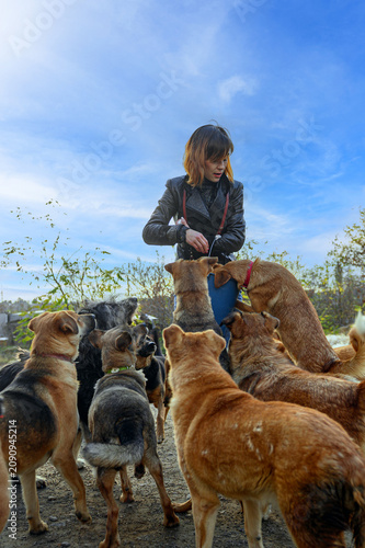 Young Female Volunteer Feeding Homeless Dogs at Animal Shelter/ Animal Rescue and Charity