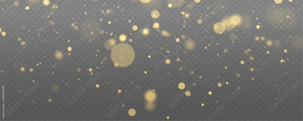Fototapeta premium Tiny glitter dust floats gently. Christmas vector design overlay PNG. Gold sparks particles with glowing sparkles and magic light bokeh png. 