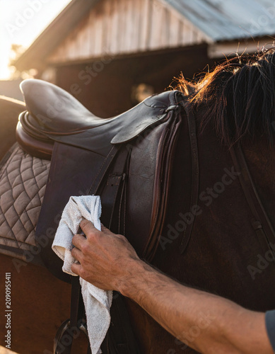 A man's hand uses a soft cloth to polish a leather saddle sitting on the back of a still horse.