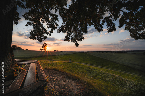 Beautiful sunset view over rural fields from under a large tree with a wooden bench. Sunburst rays break through the trees on the horizon, creating a peaceful countryside landscape in summer.