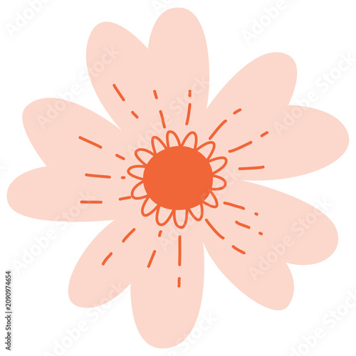 pink flower with a bright orange center and simple, rounded petals