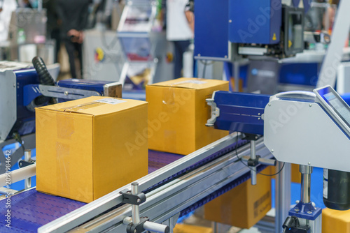 Automated Box Printing Machine on Conveyor Belt