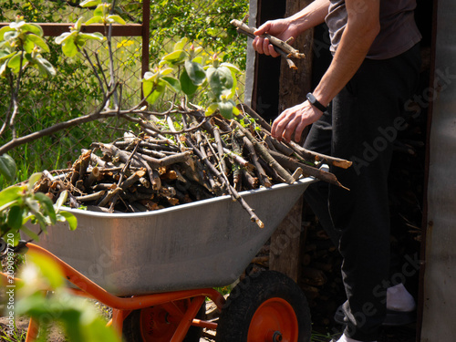 Man unloading cut tree branches from a garden wheelbarrow into a wooden shed