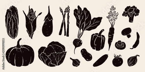 Fotografie Fresh autumn vegetables icon set  with grunge texture