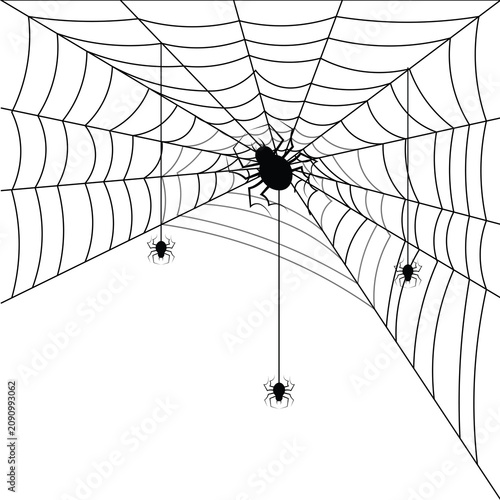 halloween spider web