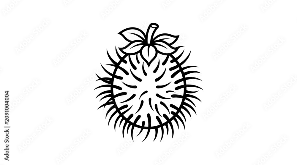 Fototapeta premium Vector illustration of a single Rambutan fruit with leaves on top