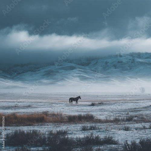 Lone horse stands quietly in wide snow covered field with misty hills and dramatic cloudy sky creating calm, cold atmosphere
