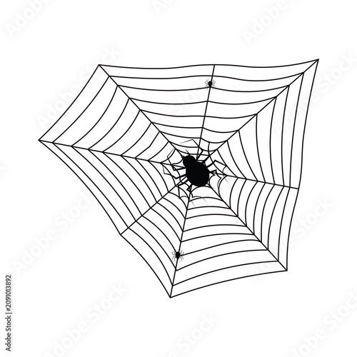 spider and web