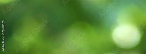 Spring green bokeh background with blurred foliage and glowing sunlight. Blurry summer blooming garden or green forest with soft focus and dreamy light. Realistic vector bg