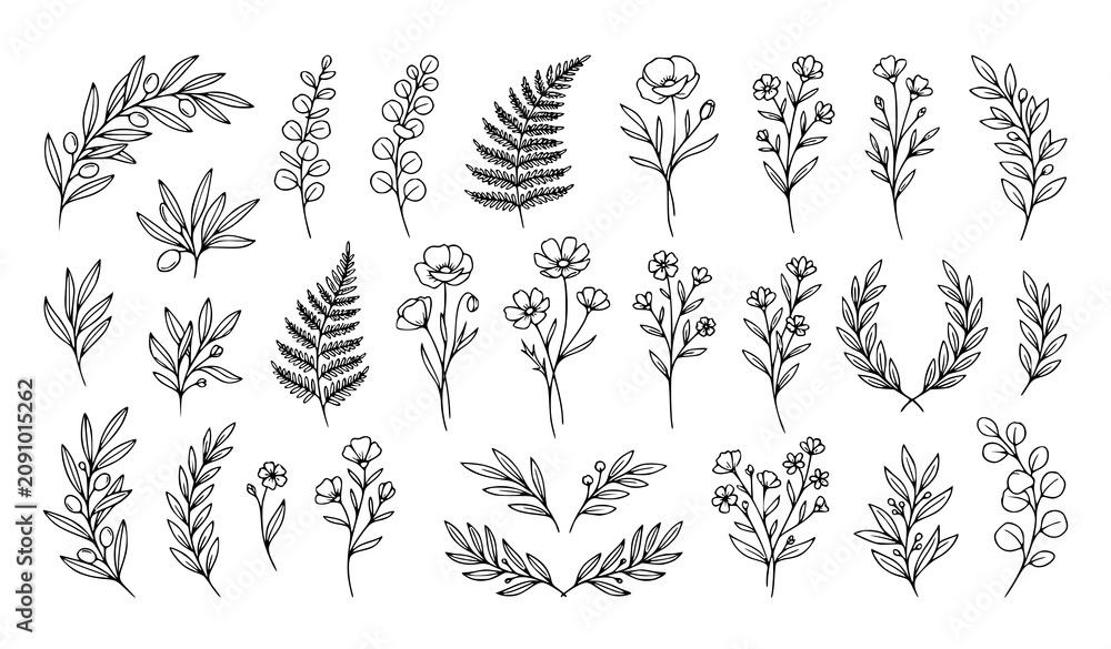 Fototapeta premium Stylized botanical line art vector collection