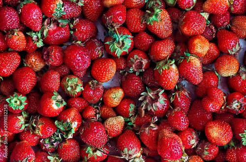 Fresh strawberries (garden strawberries). The berries are red, juicy, with green stalks, and vary in size.