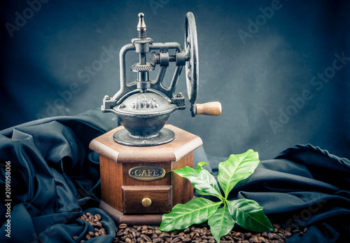 frisch geröstete Kaffeebohnen auf Olivenholz